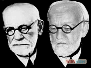 (2005) Will the real Sigmund Freud...?